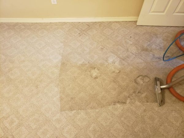 Professional carpet cleaning in progress by Duggins Services